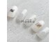 ホアカ(Hoaka)の写真