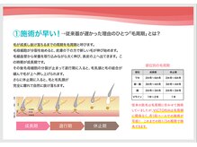 ベルカーラ(Belcarra)/