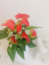 ボーテ デ ベル(Beaute de belle)&nbsp;福田 