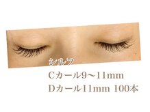 シルフ 石橋店(Sylph)/ミックススタイル