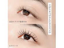 シーズントーキョー(SEASON Tokyo)/エクパーマ/エクパ