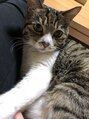 ティアム(Tia'm)&nbsp;実家の愛猫です♪
