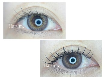 ハルム(HARUM)/フラットラッシュ140本