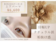 フェリシテ(felicite)/