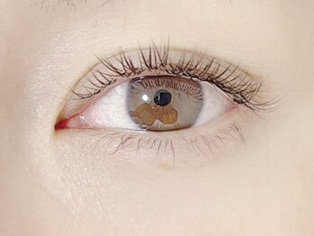 マーチ(MARCH)/デザインキープラッシュ 80束