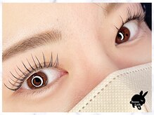 バニーラッシュ(Bunny Lash)/【パリエク】