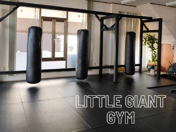 リトルジャイアントジム(Little Giant Gym)