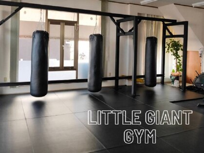 リトルジャイアントジム(Little Giant Gym)の写真