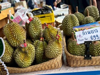 パヤタイトウキョウ 銀座店(PHAYA THAI TOKYO)/PHAYA THAI スタッフ in BANGKOK