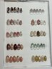 【初回＆自店ジェルオフ無料】ハンド定額デザインコース¥7200