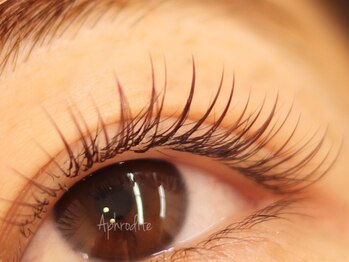 アフロデイーテ(Aphrodite)/Brown Flat Lash
