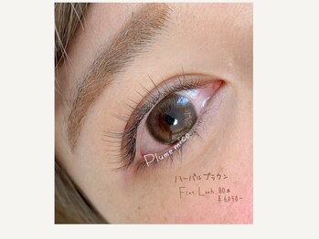 プルームミコ(Plume mico)/全体カラー80本