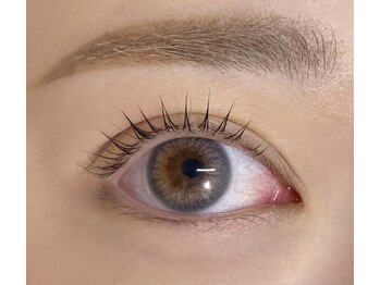 アイラ 古川橋店(EYELA)/ラッシュリフト