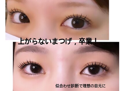 リングス(Riings)の写真