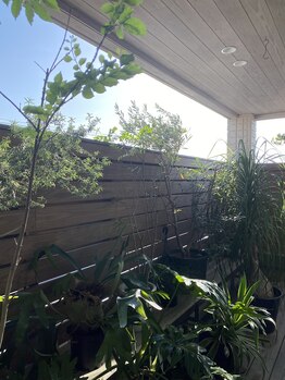 スリールダンジュ(sourire dange)/緑いっぱいの施術ルーム