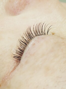 スパーク(SPARK)/マツエクデザイン