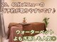 まつざき整骨院の写真