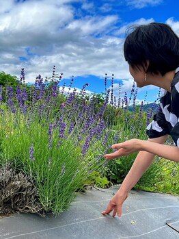 ボア(BOA)/梅雨の晴れ間のラヴェンダー畑