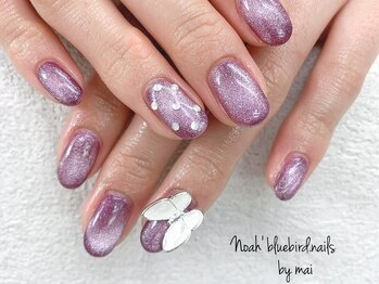 ノアブルーバードネイルズ(Noah' bluebird .nails)/お好みのお色でマグネットネイル