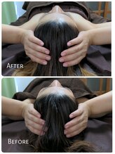 ラクシス(Luxis)/ヒマラヤンドライヘッド