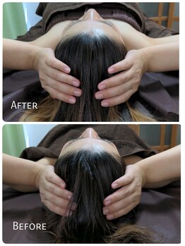 ラクシス(Luxis)/ヒマラヤンドライヘッド