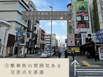 サルレ(Sarule)/5、道案内