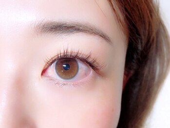 リンド(LINDO)/フラットラッシュbrown120本