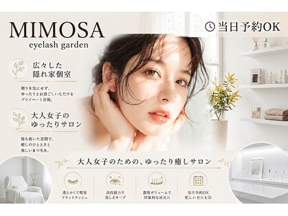 ミモザ(MIMOSA)の写真