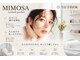 ミモザ(MIMOSA)の写真