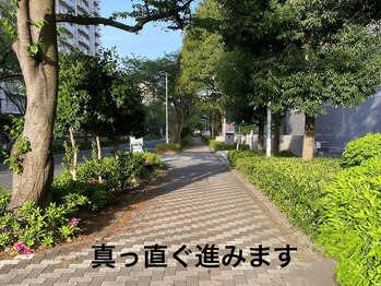 さいわい整骨院/鹿島田駅からの道順