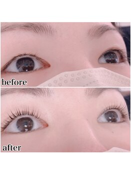 アイラッシュマルヴァ(Eye Lash Malva)/