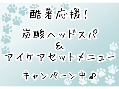 猫音の写真