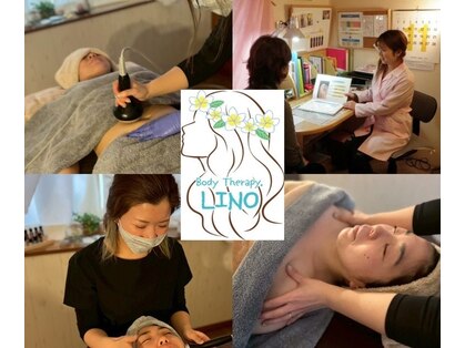 リノ(LINO)の写真
