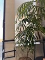 凛眉(LINVI) 静かな空間で、気持ちを整える時間を大切にしています。