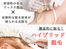 ルナベイビー(Luna Baby)の雰囲気（ブラジリアンワックスと光脱毛の併用で徹底的に除毛します！）