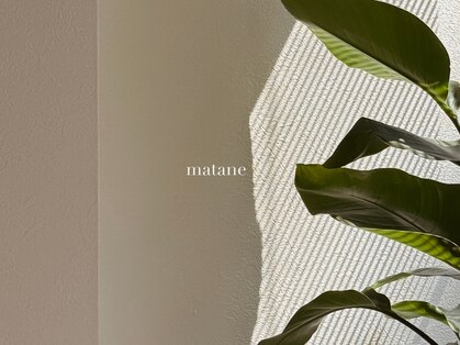 マタネ(matane)の写真
