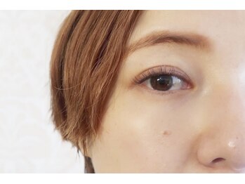 ミネット ビビ(minette BIBI)/フラットラッシュカラー120本