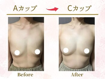 Ms.やまとなでしこ