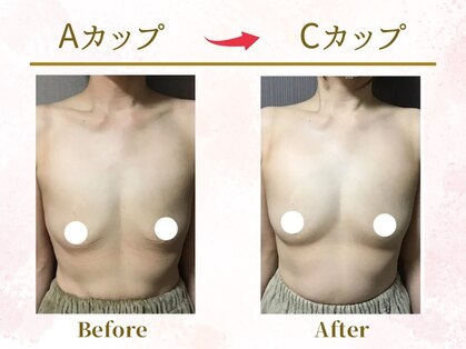 Ms.やまとなでしこの写真