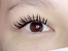 ミル(mille)/ダブルフラットラッシュ　140束