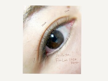 プルームミコ(Plume mico)/全体カラー120本