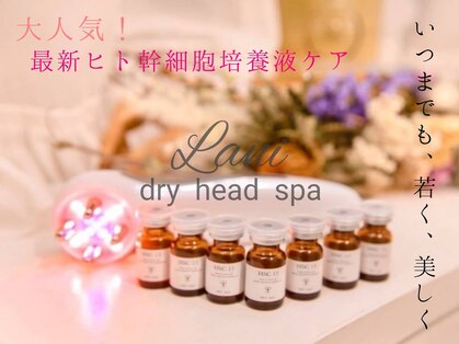 ラニ バイ ラグジス 海老名(Lani by LUXIS)の写真