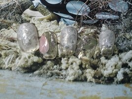 混ぜかけネイル