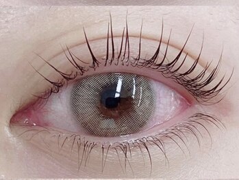 バタフライ 武蔵小杉店(Butterfly)/ラッシュアディクト効果比較