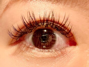 レミア 関内(REMIA)/11月　バインドロック ８０束