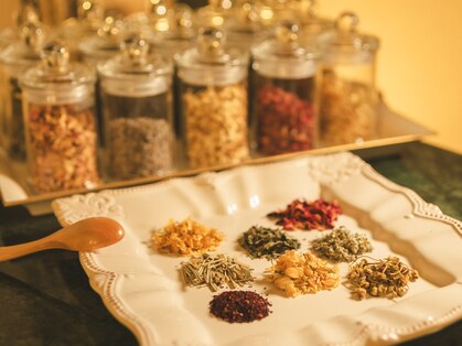 ステラヘルバの写真