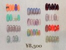 定額8500円