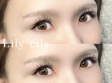 リリーシル(Lily cils)/パリエク（Wフラット120束）