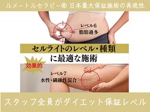 ルメートルセラピー ビューティーサロン(REMETTRE THERAPY)/結果出し技術の再現性