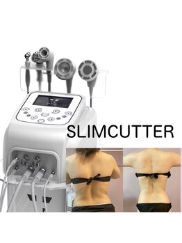 ウィステリア(WISTERIA)/VISEA導入サロン